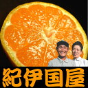 みかん産直★送料無料★中井さんち有田みかん5kg・35〜70個入(お買得サイズ不選別)本場紀州から[紀伊国屋文左衛門本舗]温州みかん生産量日本一の和歌山県産　名産地 有田地方から産地直送　わけあり訳ありご家庭用果実