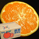 田村みかん 【2Sサイズ】5kg(1箱=約70?75個前後)紀州和歌山有田郡湯浅町田村地区産/最高級プレミアムブランド 田村ミカン 【送料無料】