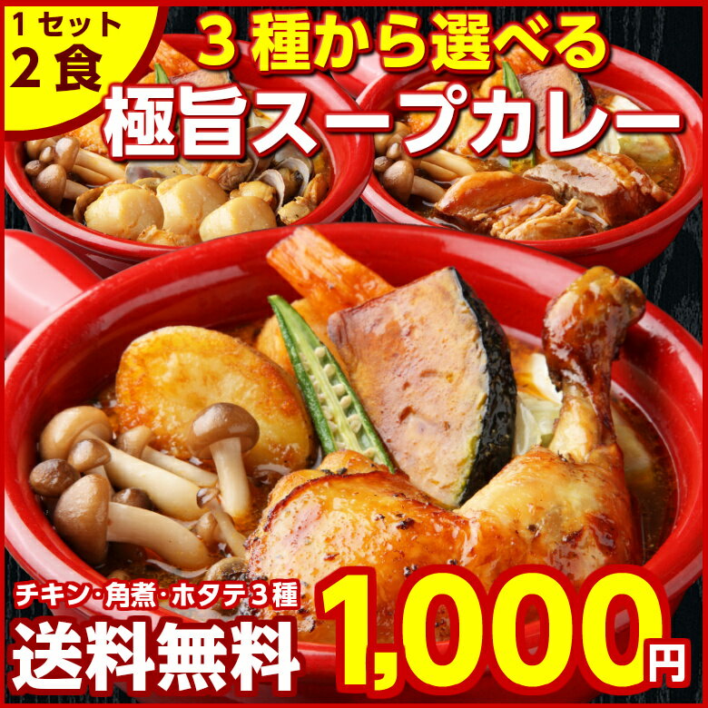 【送料無料】3種から選べる北海道極旨スパイシー.スープカレー2食.(やわらかチキン・とろとろ角煮・旨味凝縮ホタテ)カレー レトルトカレー スパイス 札幌 カレールー カレー粉 ギフト ご当地グルメ 詰め合わせ B級グルメ 業務用【B】