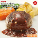 黒毛和牛生ハンバーグセット 160g×5pc ハンバーグソース付き【送料無料】