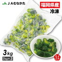 冷凍ブロッコリー 3kg【送料無料】宗像農業協同組合 九州 福岡 お取り寄せ 福岡県よかもんショップ