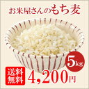 【送料無料】お米屋さんのもち麦 お得な5kg(1kg×5袋)...