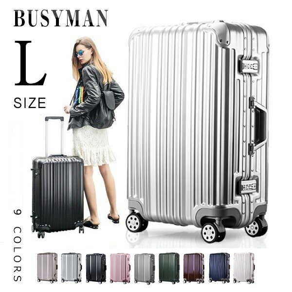 スーツケース Lサイズ キャリーケース キャリーバッグ フレーム TSAロック搭載 一年間保証 7日-14日 大型 suitcase T1169