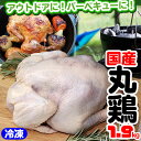 【期間限定お試し価格】国産冷凍 丸どり1900g 1羽(5〜...