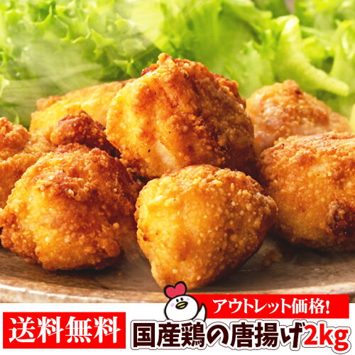有野いく/唐揚げの冷凍保存も!通販・お取り寄せはできる?/マツコの知らない世界 9 wakekara 007