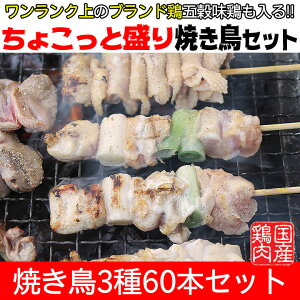 ちょこっと盛り★焼き鳥セット 送料無料ももネギ串×20本、皮串×20本、背肉テール串×20本【焼き鳥】【焼鳥】【ヤキトリ】【やきとり】【国産】【焼き鳥 冷凍】【BBQ】