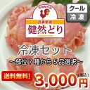 【4/27 am10時までにご注文で4/28発送】“健然どり”冷凍セット【送料無料】部位7種からお好み5品