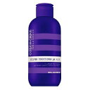 エルゴン 【国内正規品】カラーケア シルバーコンディショナー 300ml