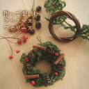 【送料無料】 手作りを楽しむプチリースキット【クリスマスリース】簡単に楽しく作れるセットです送料無料でお届けしますプチギフト/ポスト投函お届け/