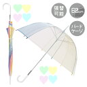 Evereon エバーイオン バードケージ カラフル704 60cm かさ カサ umbrella アンブレラ ビニール傘 グラスファイバー 強風 婦人傘 サビにくい プラスチック おしゃれ かわいい 梅雨 レディース