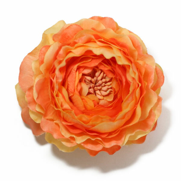 ڥۡڼ޻ȱˤȤҶѥۥåפȥԥ2wayס곰ǽʥʥ󥭥饹ڥ󥸡