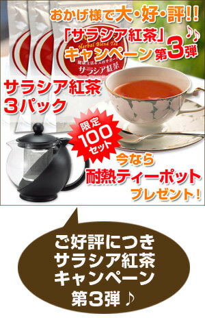 【先着100名様限定】サラシア紅茶3パック！今なら耐熱ティーポットプレゼント！！広島発☆コーヒー通販カフェ工房がお届けします。話題のサラシア飲料です。