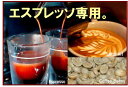 ■送料無料■　【エスプレッソ用　コーヒー豆】グァテマラ・SHB　生豆時500g