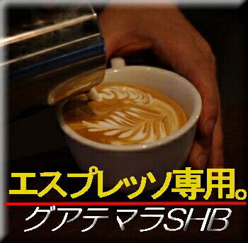■送料無料■　【エスプレッソ用　コーヒー豆】グァテマラ・SHB　生豆時450g