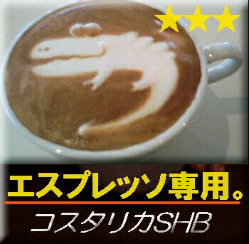 ■送料無料■　【エスプレッソ用　コーヒー豆】コスタリカ・SHB　ファンシー 　生豆時450g