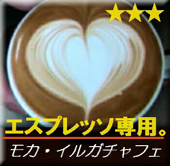 送料無料■　【エスプレッソ用　コーヒー豆】エチオピア・モカ・イルガチャフェ　　 　生豆時450g
