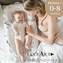 【全品8%OFFクーポン配布中】ドッカトット 【日本総代理店】デラックス プリント Dock
