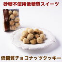 砂糖・卵不使用!!糖質カロリーカット!低糖質チョコナッツクッキー 1袋 低糖質クッキー