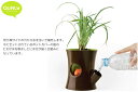 LOG & SQUIREL self watering plant pot リスの切り株プラントポッド 【QUALY/qualy/クオリー/生活雑貨/キッチン雑貨/インテリア雑貨/タイ雑貨/アジアン雑貨/最新雑貨/アイディア/プレゼント】 P25Apr15