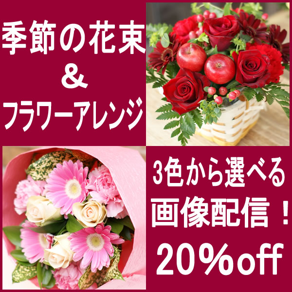 【お見舞い 花 ギフト アレンジメントフラワー 入院 誕生日 結婚記念日 結婚御祝 出産御祝 送料無料】季節の花束＆アレンジメントフラワー【レビューを書いて20％off】【画像配信】【送料無料実施中】【フラワーギフト】【父の日】お見舞い 花 ギフト アレンジメントフラワー 入院 誕生日 結婚記念日 結婚御祝 出産御祝 送料無料