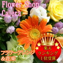 感謝祭　花 ☆季節の花束＆アレンジメントフラワー☆ フラワー プレゼント 2012 フラワーアレンジ 花 ギフト フラワーアレンジメント 誕生日 鉢 お見舞い 贈答用 】スーパーセール花 フラワー プレゼント 御歳暮 2012 花 ギフト フラワーアレンジメント 誕生日 お正月 鉢 お見舞い 】季節の花束＆アレンジ3種類