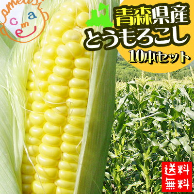 ●生でも甘い！●【青森県産とうもろこし10本】≪送料無料≫パキッと割ったらぶしゅっと果汁が飛んじゃうくらいの新鮮さをお届けします！山育ちで甘みがギュッ★フルーツのような美味しさ産地直送[※産地直送のため同梱不可]