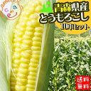 ポイント10倍 5日01:59分まで　●生でも甘い！●≪送料無料≫パキッと割ったらぶしゅっと果汁が飛んじゃうくらいの新鮮さをお届けします！山育ちで甘みがギュッ★フルーツのような美味しさ産地直送[※産地直送のため同梱不可]10P02jun13≪予約開始★期間限定ポイント10倍≫まるで砂糖をまぶしたような濃厚な甘さを堪能したいならかめあし商店のとうもろこし！