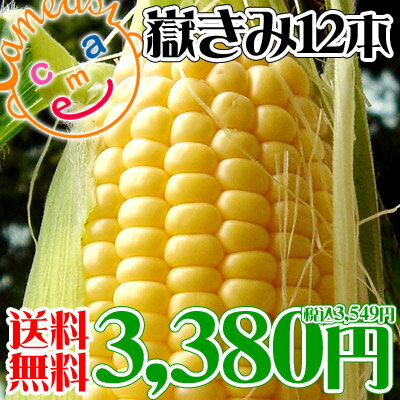 《8/21 9:59までポイント10倍!》◎出荷スタート◎ 嶽きみ とうもろこし 通販 【嶽きみ12本】高原育ちだから旨さ＆甘さがギュッ★岩木山麓の崎野農園から朝もぎ産地直送！ [※品種指定不可][※産地直送のため同梱不可][※クール便]