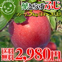 青森 りんご 葉とらず 栽培送料無料 太陽の恵みをたっぷり浴びた葉とらず栽培のふじを産地直送！訳あり でも味は贈答級！[※産地直送のため同梱不可]●最終出荷は3月19日!!●本当に美味しい葉とらずりんご★葉摘みをしないこだわり栽培 りんごに残る黄色い葉の影が美味しさの証です！