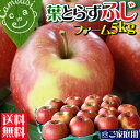 ≪1/23 9：59まで最大ポイント10倍！≫出荷数10000件突破★グルメ大賞2010 青森 りんご 葉とらず 送料無料 　アップル ペクチン リンゴ 林檎 [※産地直送のため同梱不可]≪グルメ大賞2010受賞≫本当に美味しい葉とらずりんご！一番人気品種ふじ♪レビュー続々ありがとうございます！販売数10000件突破中です!!