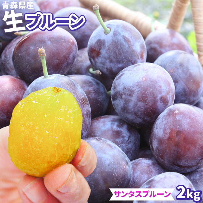 եåץ롼ȥ󥿥ɤäפ2kg̵ڥ󥿥ץ롼ʽͥ2kg̵ۡ俿ƤŴʬϡץꤸʤƥեåץ롼ǢޤŷΥץȤΤ褦ʱ˭٤ʥץ롼Ŀ黺ľǡ[ﲹ][ľΤƱԲ][Բ]