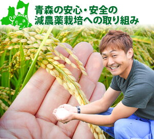 ≪送料無料≫【青森県産減農薬栽培つがるロマン一等米10kg】安心・安全を食卓にお届けする減農薬クリーンライス!つがるロマンは、【RCP】