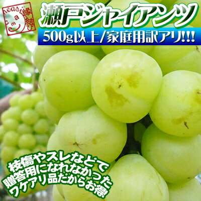 《8/21 9:59までポイント10倍!》岡山県産 皮ごと食べれる 高級ぶどう 訳あり ワケアリ 【瀬戸ジャイアンツ 家庭用1房（500g以上）】 簡易ダンボールでのお届けとなります [※常温便]