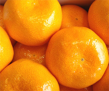 ƤǤ̣ߤ󤬿٤áܾ²λβߤ²λϥߤ2.5kgۡ2024̡ȢꢨȯϲС