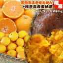 安納芋 みかん 夢の詰め合わせ 送料無料【安納芋2kg+産地...