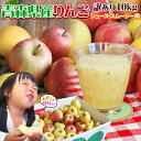 りんご 訳あり 10kg 送料無料 規格外品 小玉