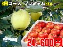 【りんご頒布会6回コース】