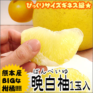 2ָ꥿ॻ롪ʤ졪Υӥåե롼о̣ڤǡͮ Фڤ ڤФڤ1̲Ȣۺǯ⤪Ϥޡ̾ͮͥΥӥåե롼Ģ[ƱԲ]