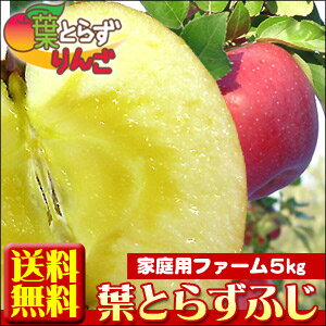 ＜総合ランキング2位感謝☆＞青森 りんご 葉とらず 栽培【葉とらずふじ5kg　ファーム】送料無料 太陽の恵みをたっぷり浴びた葉とらず栽培のふじを産地直送！ [※産地直送のため同梱不可]