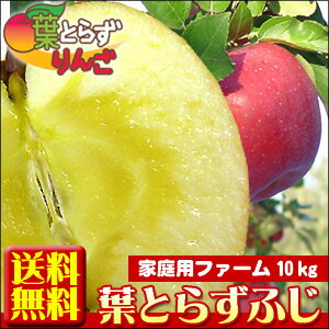 昨年2万3千箱完売★青森 りんご 葉とらず 栽培【葉とらずふじ10kg　ファーム】送料無料 太陽の恵みをたっぷり浴びた葉とらず栽培のふじを産地直送！ [※産地直送のため同梱不可]