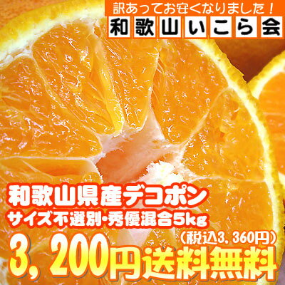 ²λǥݥ䤿äפ5kgȢǡ˽äơ礭̤ǤǤ⤪̣Ѥꤢޤ󡪥ǥݥ  ̵²λǥݥ5kg ²λ񤫤顢ǥݥоǡ礭̡˽ΤΤ뤿ᡢ̲