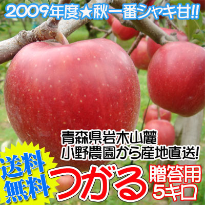 2009ǯ٤⻺ľѥá㥭á率֤Ŀ...