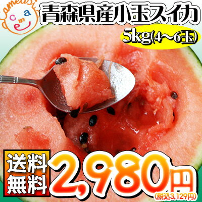 ≪送料無料≫青森 小玉 すいか 西瓜 【青森県産小玉スイカ5kg】 青森県から夏グルメ「小玉スイカ」をたっぷり4〜6玉♪[※同梱不可][※配送指定不可・ご予約順の発送]冷蔵庫にINのお手頃サイズで甘み濃厚♪まっぷたつ切りの贅沢スプーン食いでどうぞ〜♪