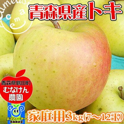 青森 リンゴ 送料無料 【青森県産りんご　トキ3kg（家庭用）】 王林×ふじのスーパーエリート品種[※産地直送のため他商品との同梱不可]黄色い果皮がほんのり紅色に色付くかわいいリンゴ「トキ」シャキシャキとした食感と豊富な果汁が喉を潤してくれる美味しい品種です♪