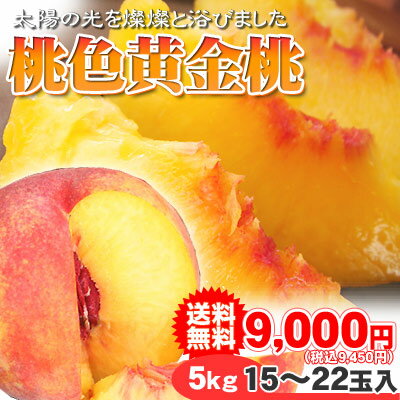 《8/21 9:59までポイント10倍!》黄金桃 販売 【黄金桃5kg　15-22玉化粧箱】≪送料無料≫ [※常温便][※産地直送のため同梱不可]