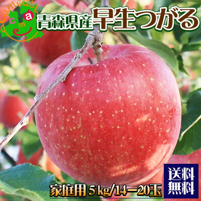 【青森県産早生つがる 家庭用5kg】≪送料無料≫甘み・酸味バランス抜群のジューシーつがる★大きさの不揃い・多少の傷・ツル割れ等があるワケアリ家庭用♪[※常温便/産地直送同梱不可]