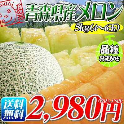 ≪送料無料≫【青森県産メロン5kg】(4〜6玉)青森のブランドメロンをご家庭用特価＆産地直送！[※同梱不可/配送指定不可][※同梱不可/配送指定不可]【マラソン201207_食品】つがりあんメロンとして人気の「ホームビレンス・アーバンデリシャス・スウィートルビー・レノン・ハニーゴールデン」5品種の中からその日一番美味しいメロンをフレッシュ産地直送！