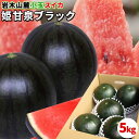 黒小玉スイカ 送料無料 メガ盛り 【青森県産 ブラック小玉すいか 5kg以上】 3〜6玉 ご