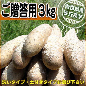 青森県産 長いも 贈答用 秀品【長芋贈答用3kg】エコファーマー其田農園から産地直送！日本一の生産量を誇る青森県から、砂丘育ちの特選長いも　ご贈答用3kg！土付きタイプ、洗いタイプをお選び下さい[※産地直送のため同梱不可]