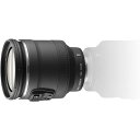 ニコン Nikon 高倍率ズームレンズ 1 NIKKOR VR 10-100mm f/4.5-5.6 PD-ZOOM ニコンCXフォーマット専用
